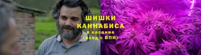 Бошки марихуана Bruce Banner  Электросталь 